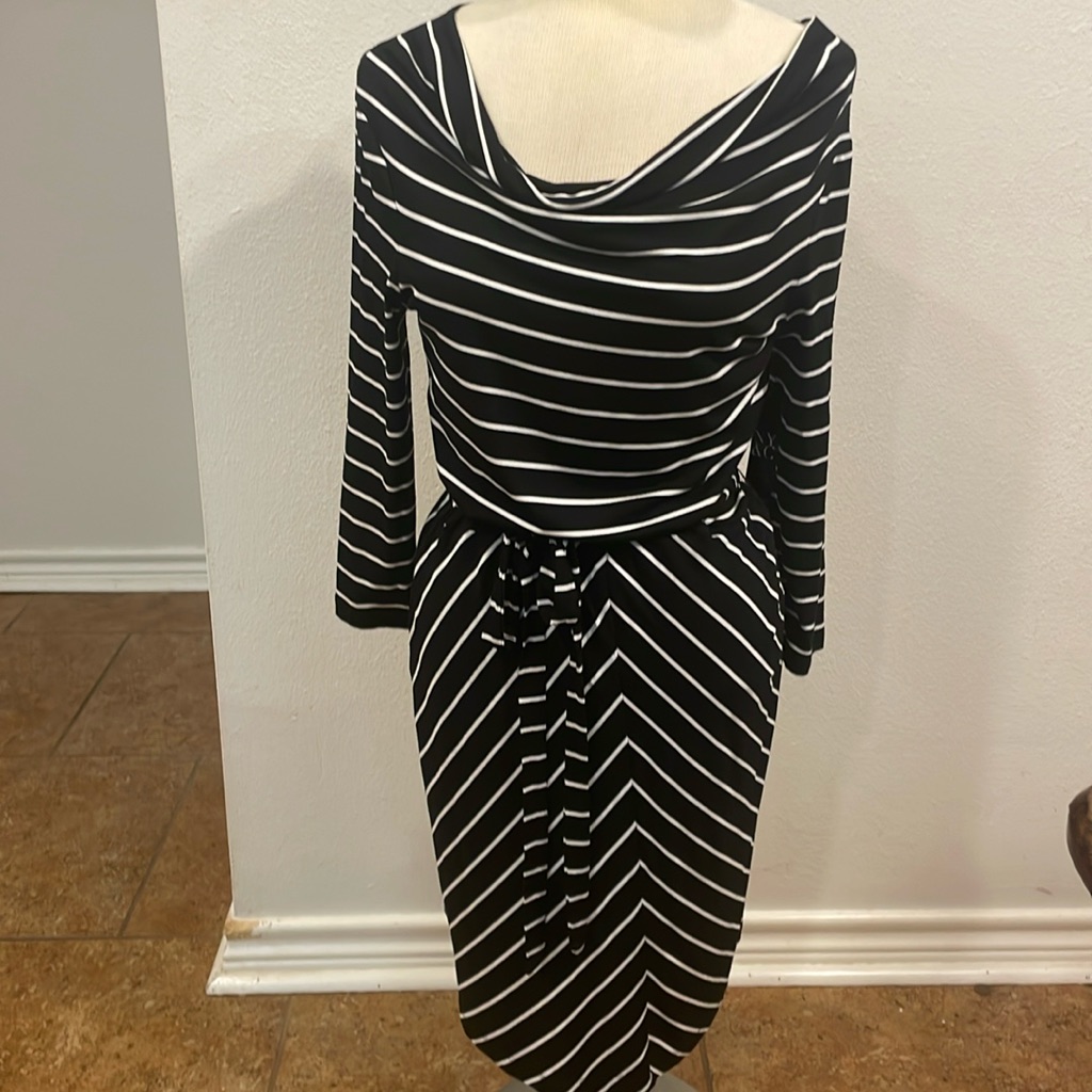 Brand New With Tags New York And Company Dress